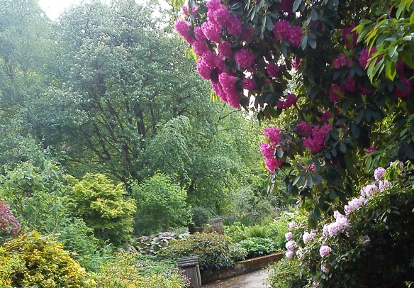 The Hill Garden, today.